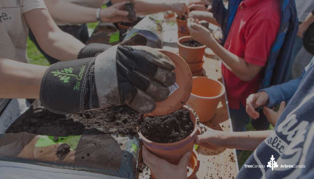Gloved hands adding dirt to small pots.