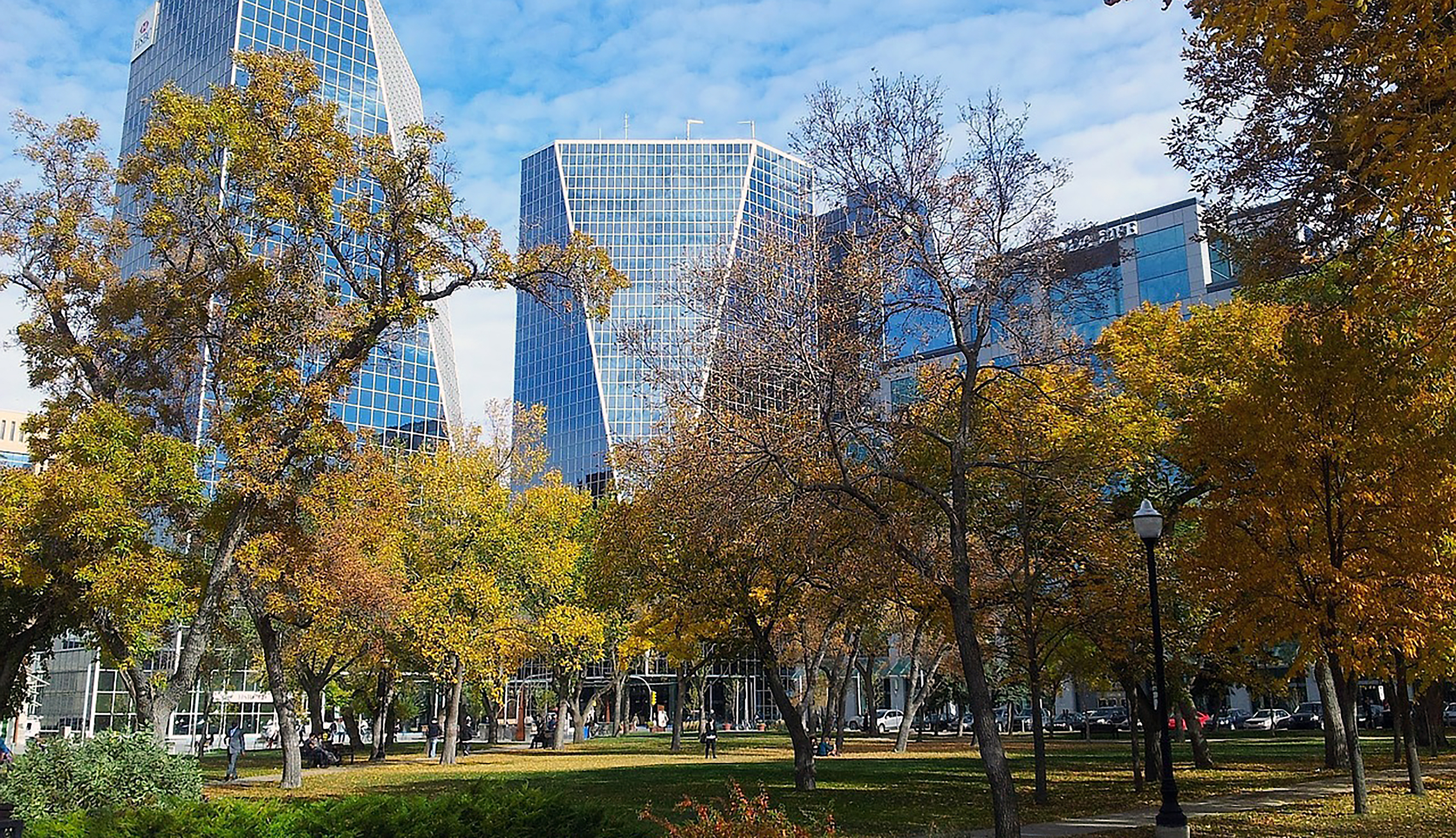Trees in a park in front of tall buildings.
