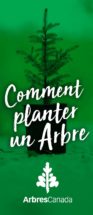 howtoplantatree-coverimage-FR