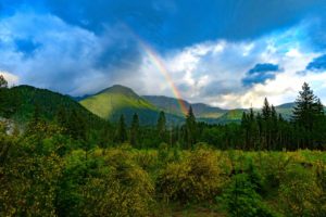 Rainbow above a forest.