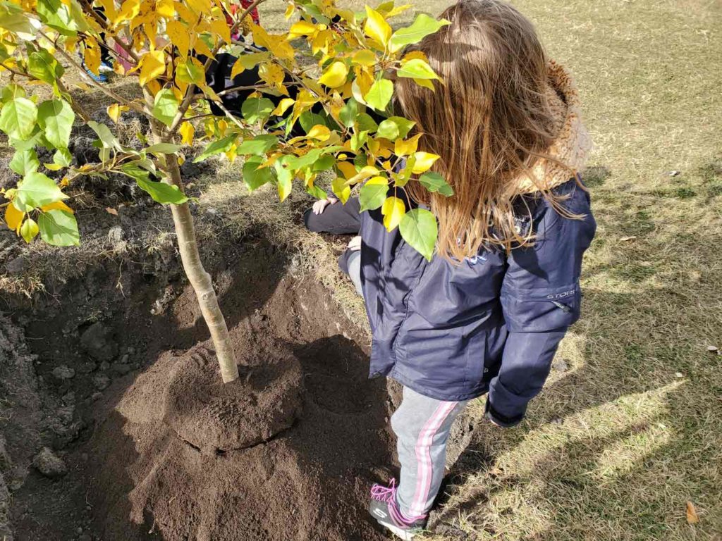Young girl planting a tree.