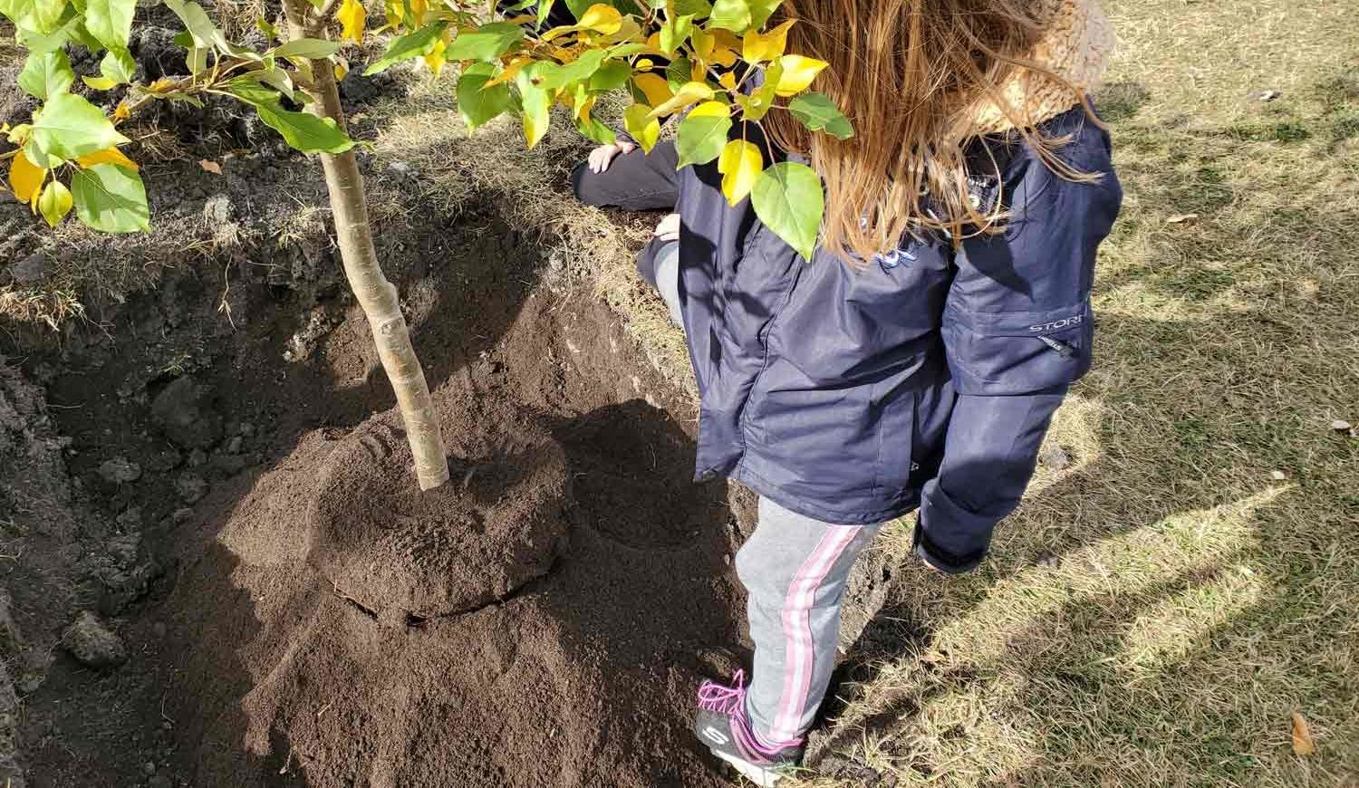 http://Young%20girl%20planting%20a%20tree.