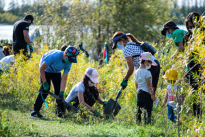 People planting trees.