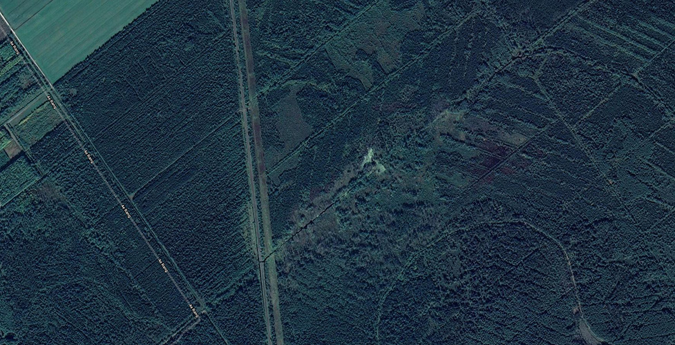 An aerial view of a road and forest.