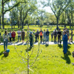 http://A%20group%20tree%20planting%20demonstration%20in%20a%20park.