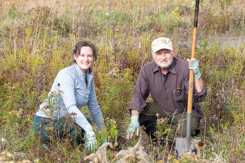 Two people crouched down beside newly planted seedling among tall grass.