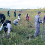 http://A%20group%20of%20people%20all%20planting%20trees%20in%20a%20field%20of%20long%20grass.