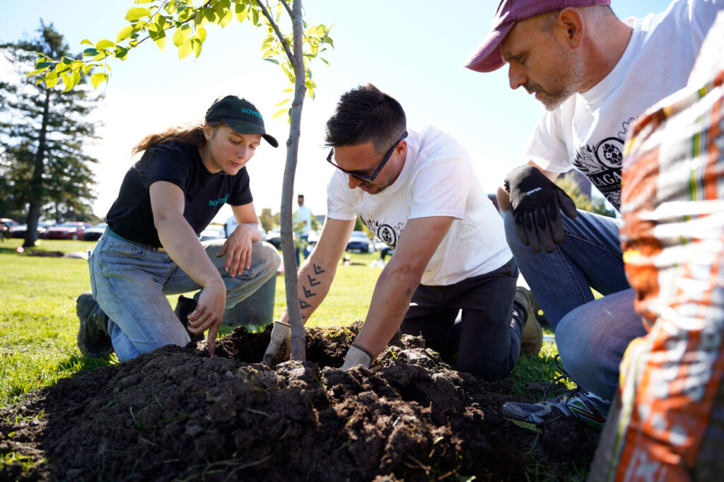 Three people planting a tree together.