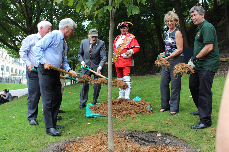Group of dignitaries holding mulch in their shovels, standing around a newly planted tree.