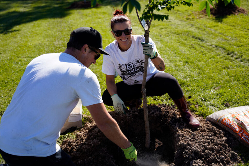Two people planting an urban tree together.