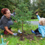 http://Adult%20and%20young%20child%20planting%20a%20coniferous%20tree.
