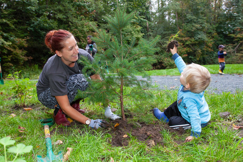 Adult and young child planting a coniferous tree.