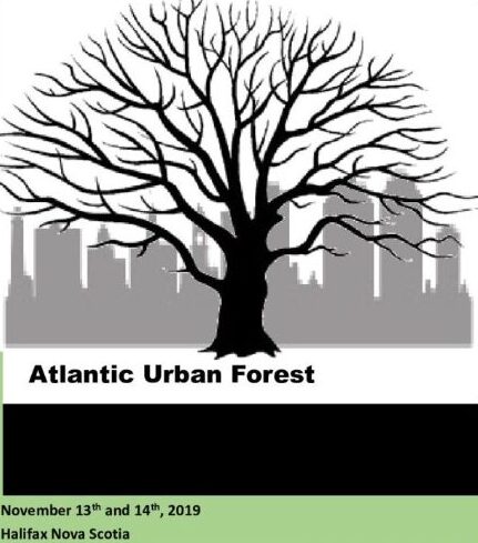 digital graphic of urban tree