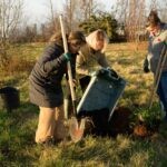 http://Volunteers%20planting%20trees.
