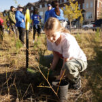 http://Young%20girl%20planting%20a%20tree.