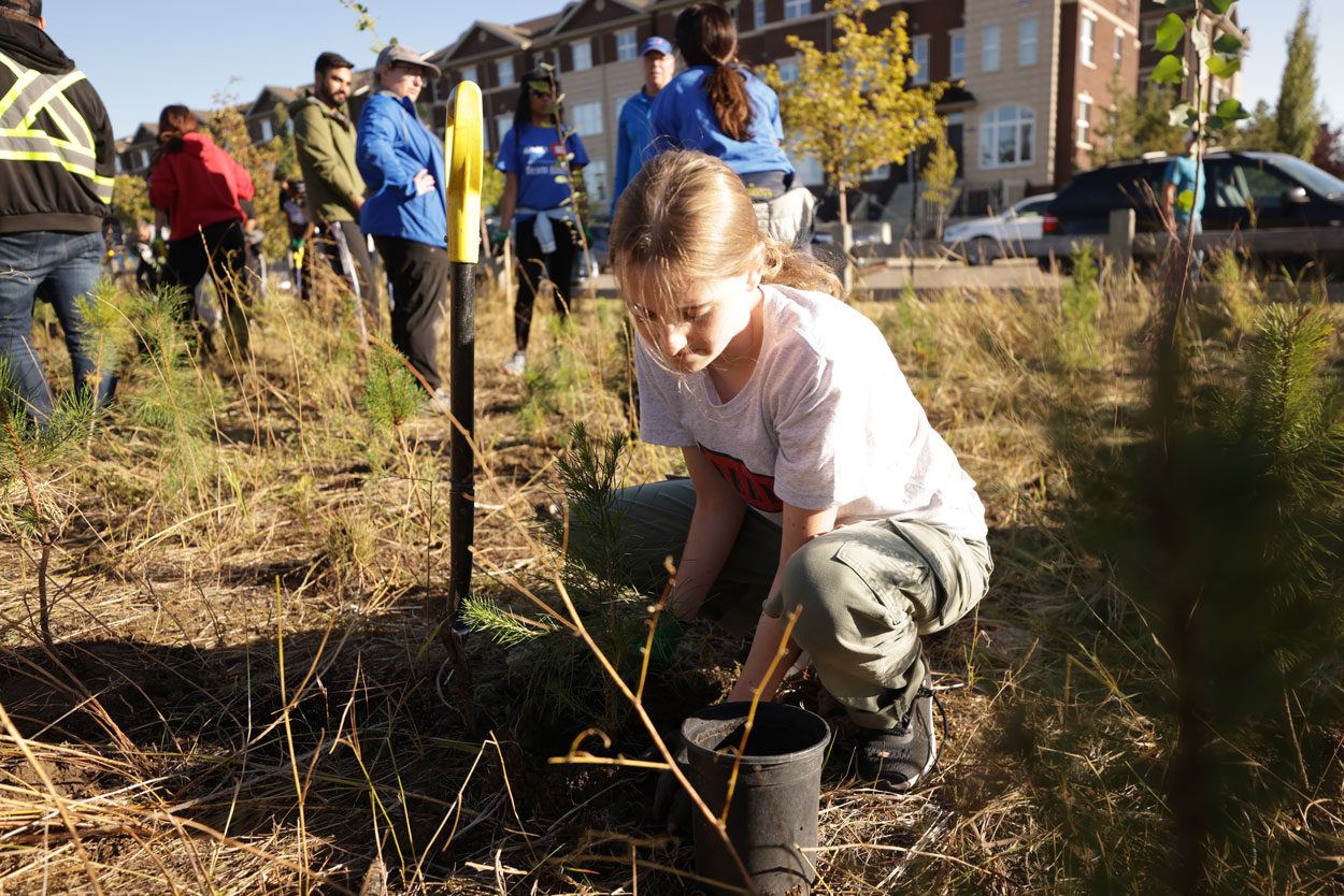 Young girl planting a tree.