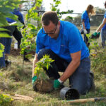 http://BMO%20volunteer%20planting%20tree.