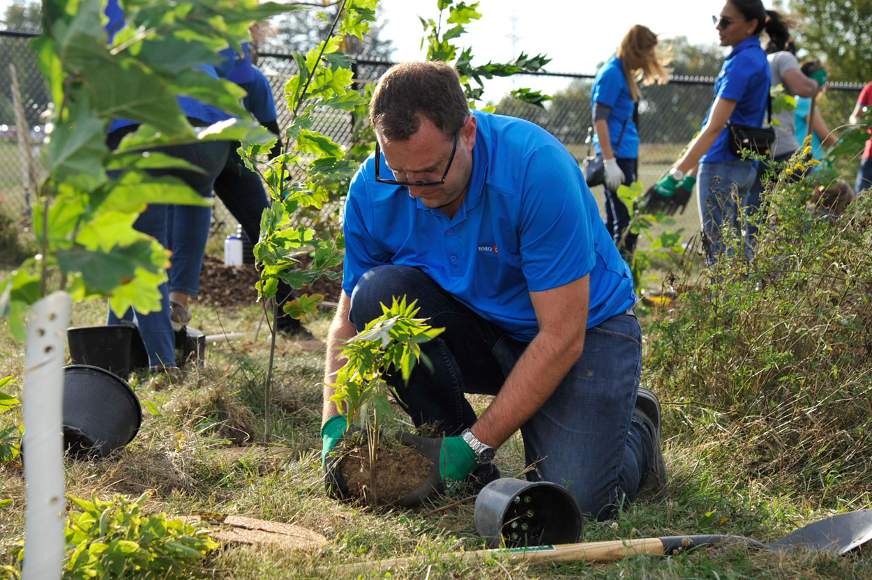 BMO volunteer planting tree.