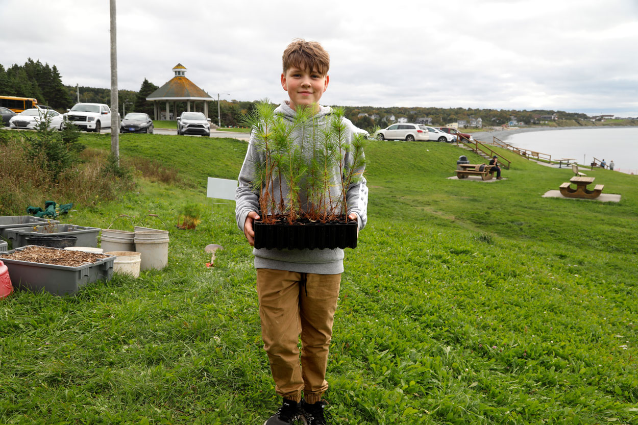 Young boy holding seedlings to the planting site.