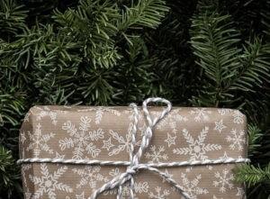 Wrapped gift sitting front of deciduous tree branches.