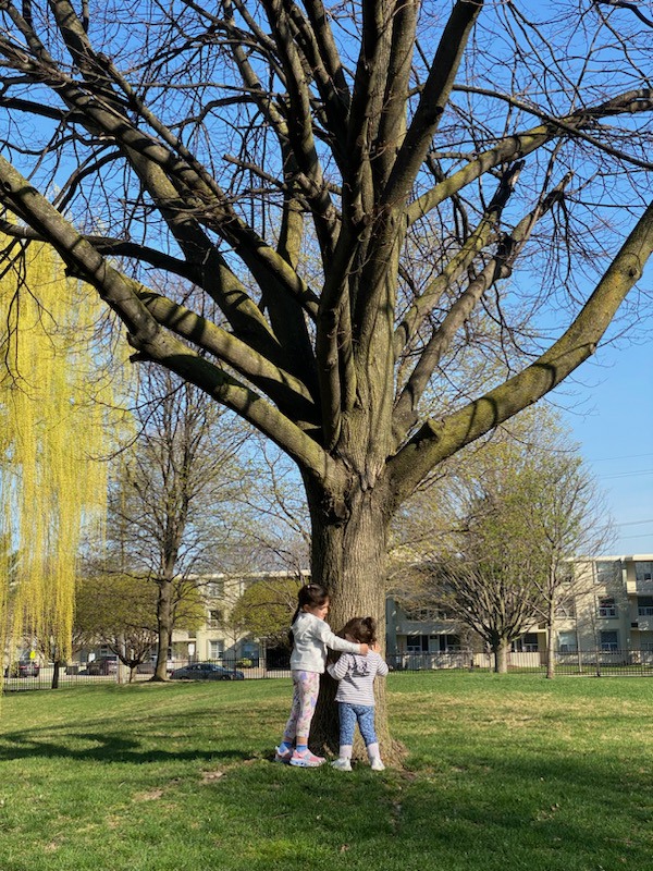 kids hugging tree