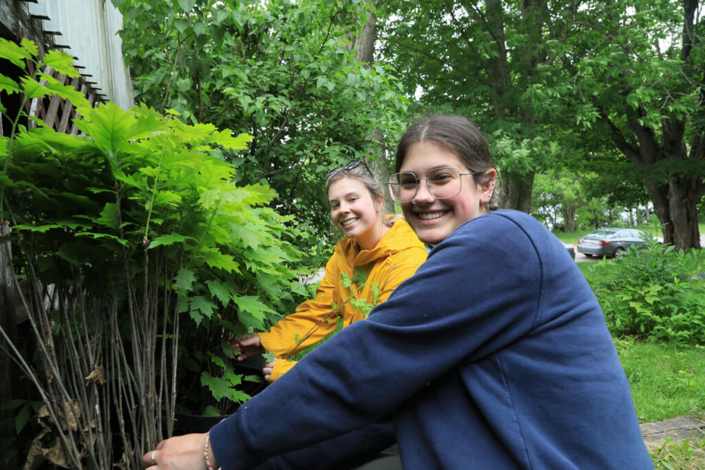 Belleisle Watershed Coalition staff gathering the potted trees