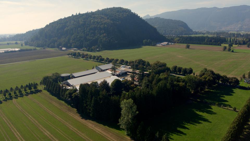 Aerial view of a dairy farm