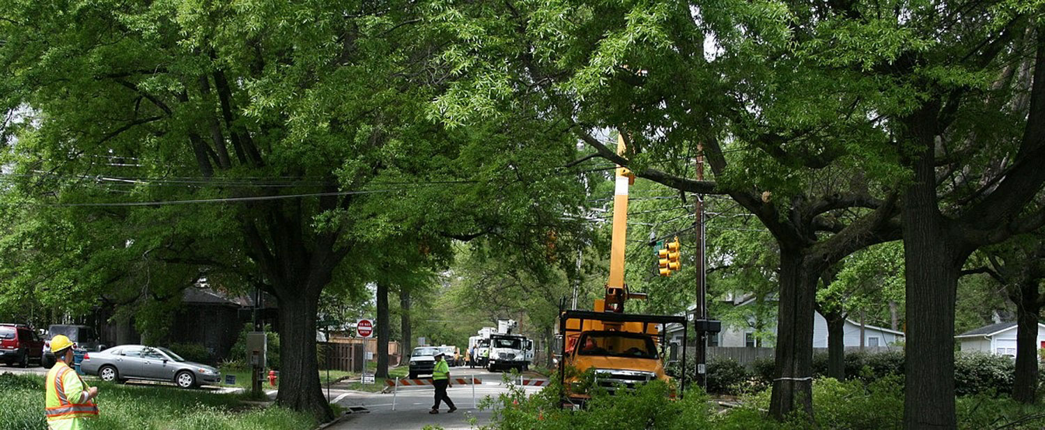 Rue d’une ville bordée d’arbres, fermée pour l’entretien des arbres. Un camion orange élague un arbre, et deux ouvriers portant un gilet néon observent les travaux.