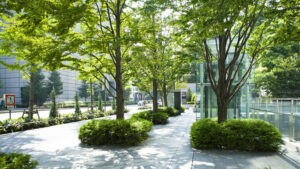 Rue d’une ville avec des trottoirs comptant trois rangées d’arbres et d’arbustes.