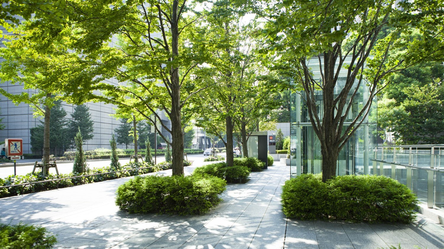 Rue d’une ville avec des trottoirs comptant trois rangées d’arbres et d’arbustes.